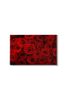 Tavla Blommor Faris