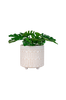 Blomkruka Ceramic