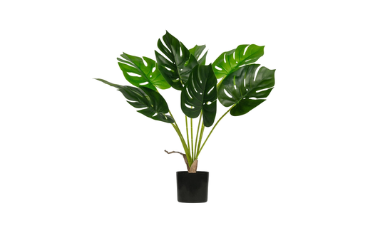 MONSTERA Konstväxt 70cm