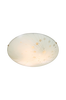 Plafond Capillata