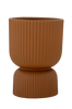 Blomkruka Chila