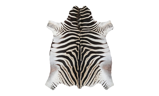 ROMA Matta 155x190 Zebraskinn