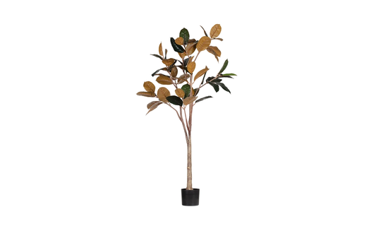 RUBBER Konstväxt 170cm