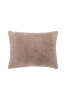Kudde Evora