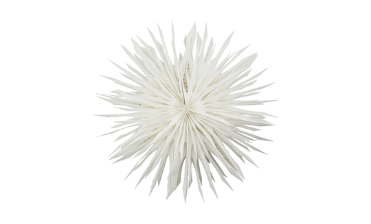 REEF Stjärna 50cm Off-White