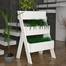 Plant Stand Gardenia