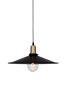 Pendel Disc