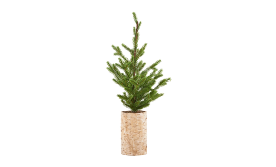 CHRISTMAS TREE Wooden Base 64 cm