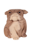 Bulldogg Kelso. Staty av bulldog i albiziaträ