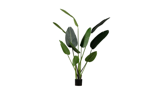 STRELITZIA Konstväxt 164cm