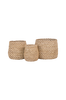 Korgar Venoso