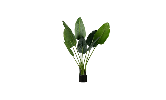 STRELITZIA Konstväxt 108cm