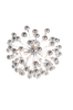 Carroll plafond
