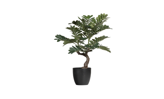 ZAMIA Konstväxt 76cm