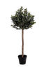 Krukväxt Olive, konstgjord, H120 cm