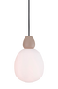 Pendel Buddy